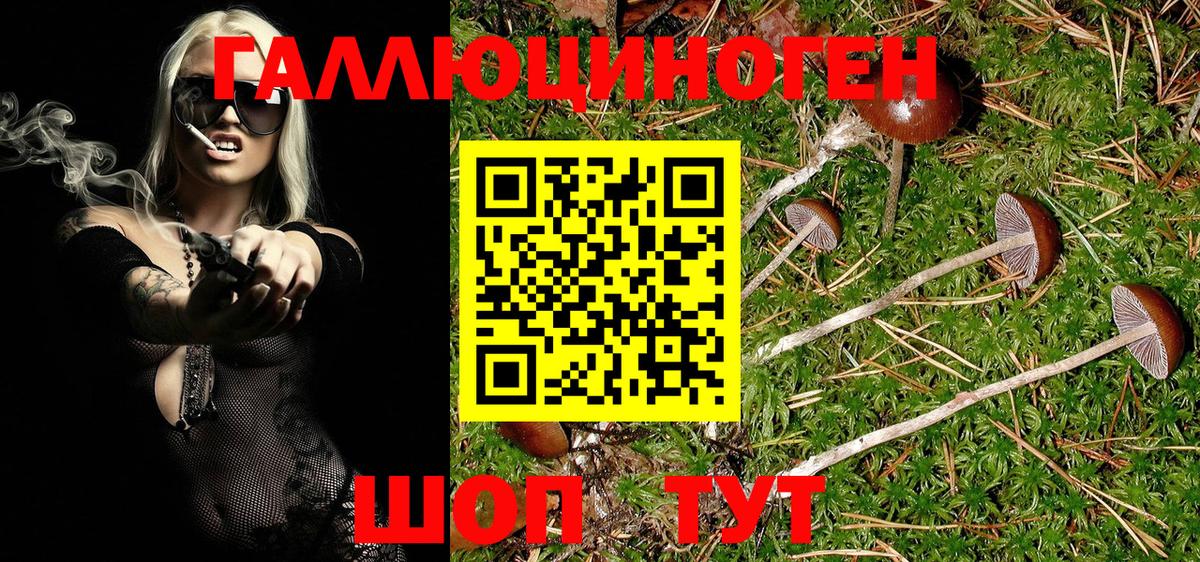 Псилоцибиновые грибы Psilocybine cubensis Топки